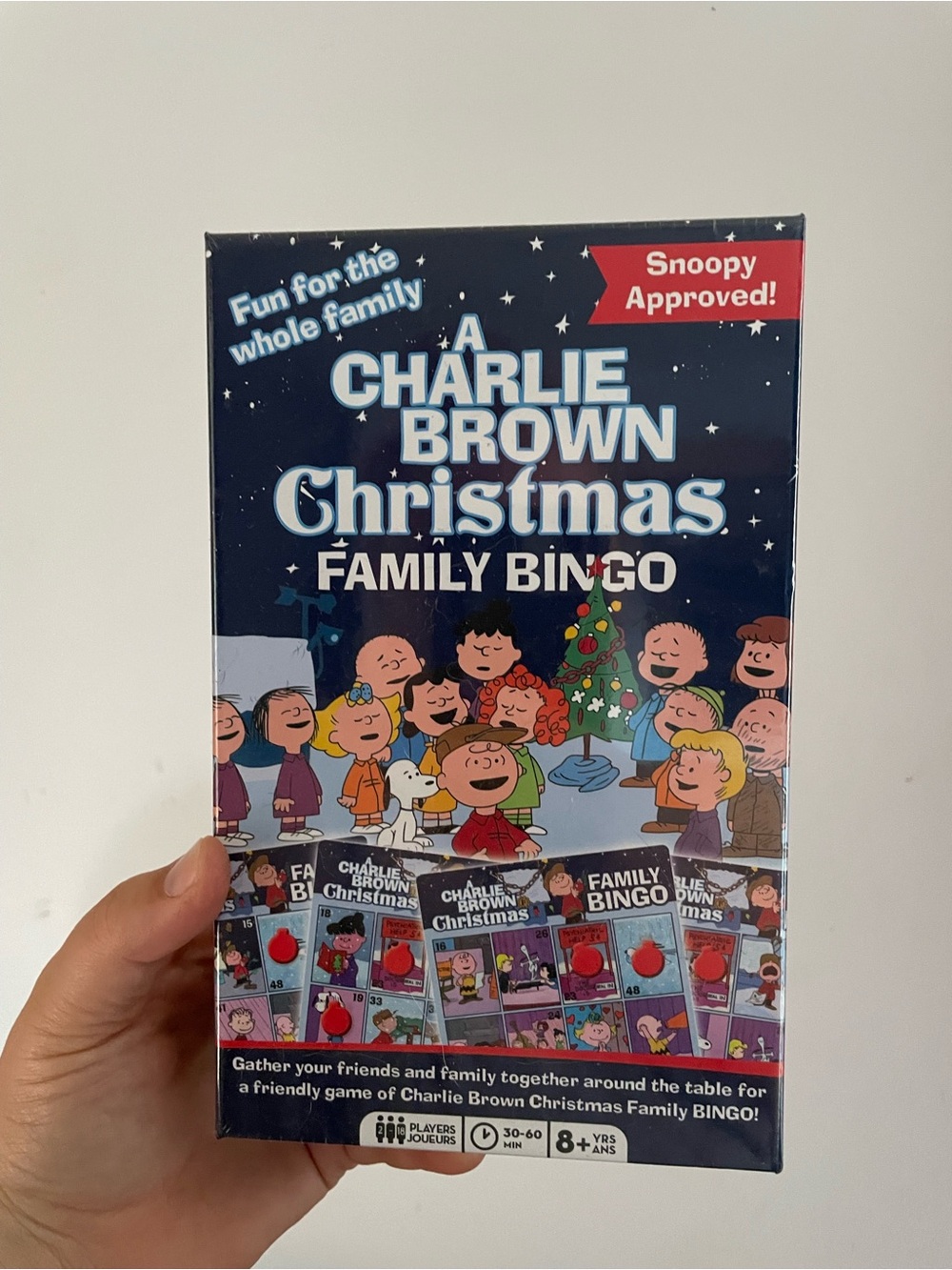 A Charlie Brown Christmas Family Bingo NEW in the package